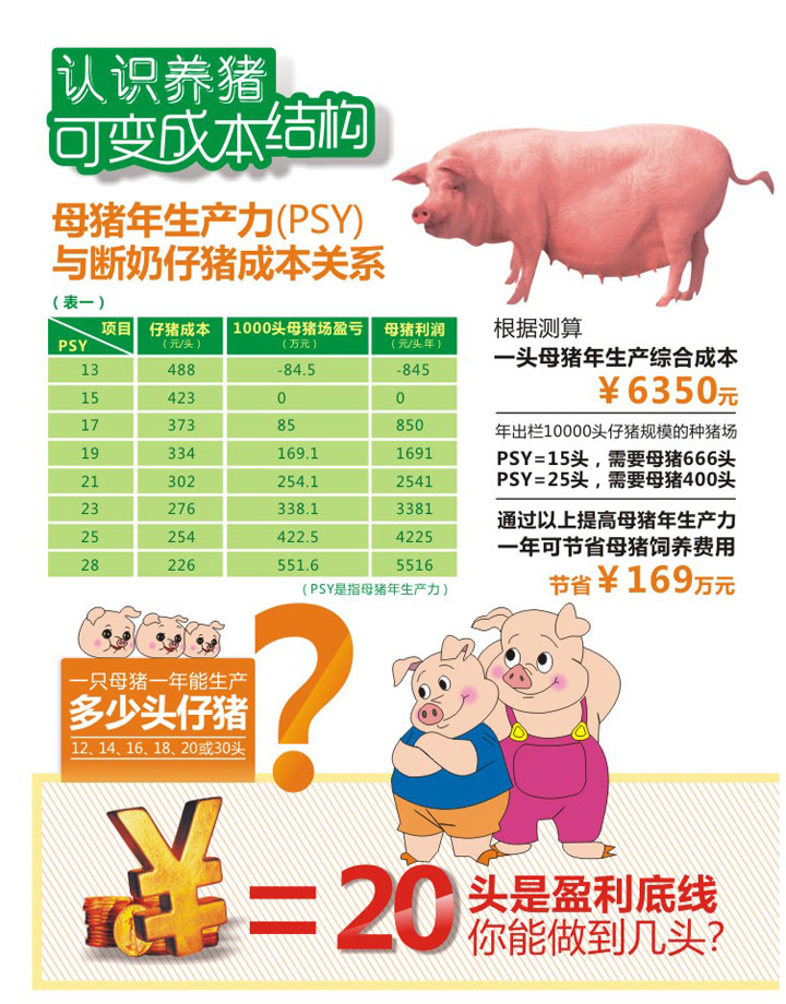 【小仙女2s直播app】6元养猪模式--养猪成本核心：母猪生产力