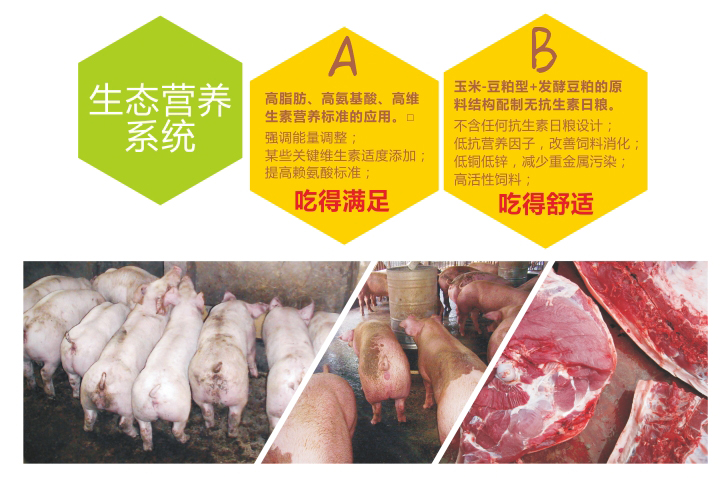 【小仙女2s直播app】6元养猪模式--降低成本系统之生态营养