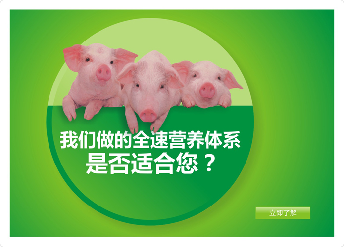 降低养猪成本系统